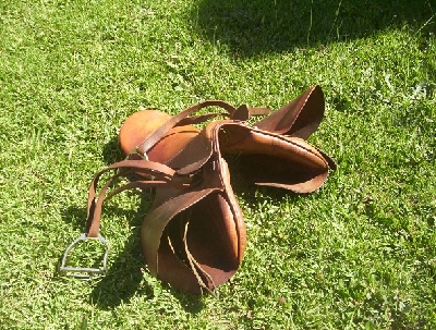 Picture 356_0.jpg